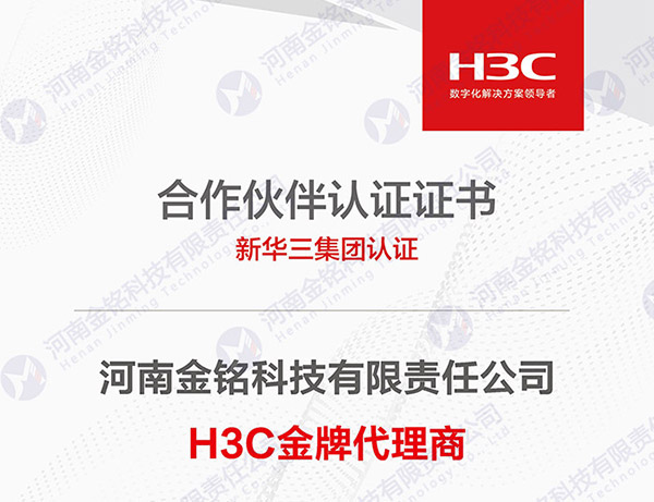 H3C 金 牌代理商
